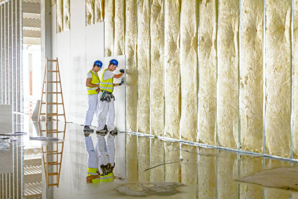 Best Insulation for Specific Applications in Arroyo Grande, CA